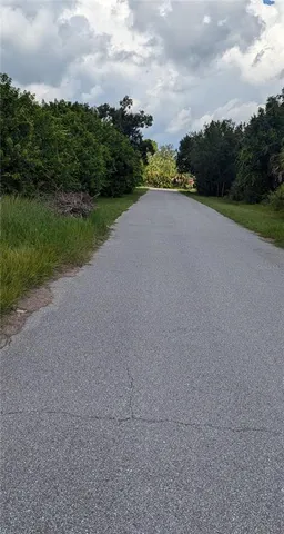 a view of river covered with trees in the background