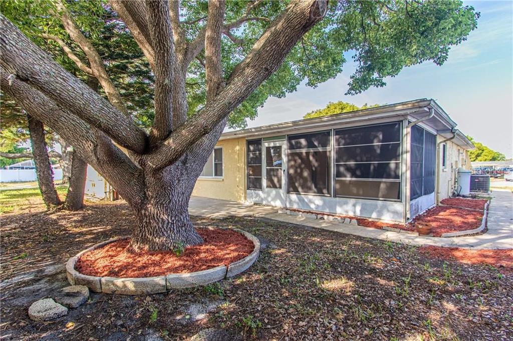 8900 Lido Lane Port Richey, FL 34668 - Photo 41 of 48