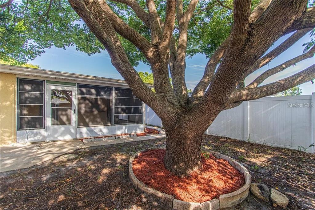 8900 Lido Lane Port Richey, FL 34668 - Photo 42 of 48