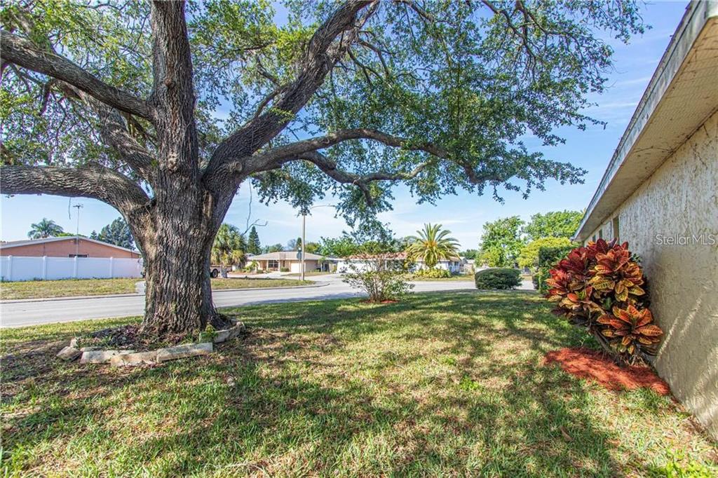 8900 Lido Lane Port Richey, FL 34668 - Photo 45 of 48