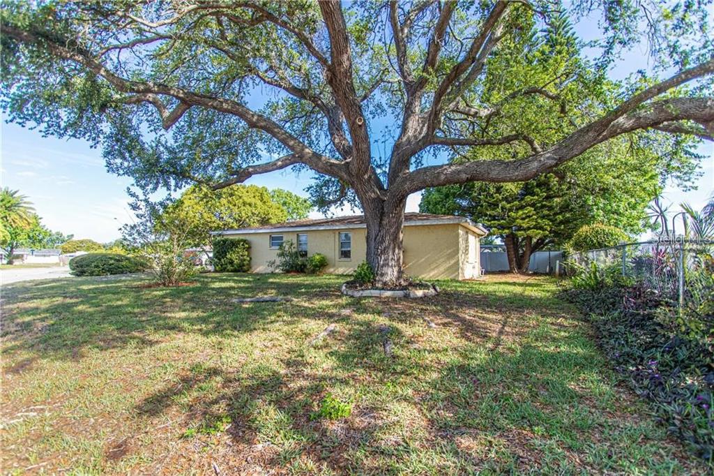 8900 Lido Lane Port Richey, FL 34668 - Photo 46 of 48