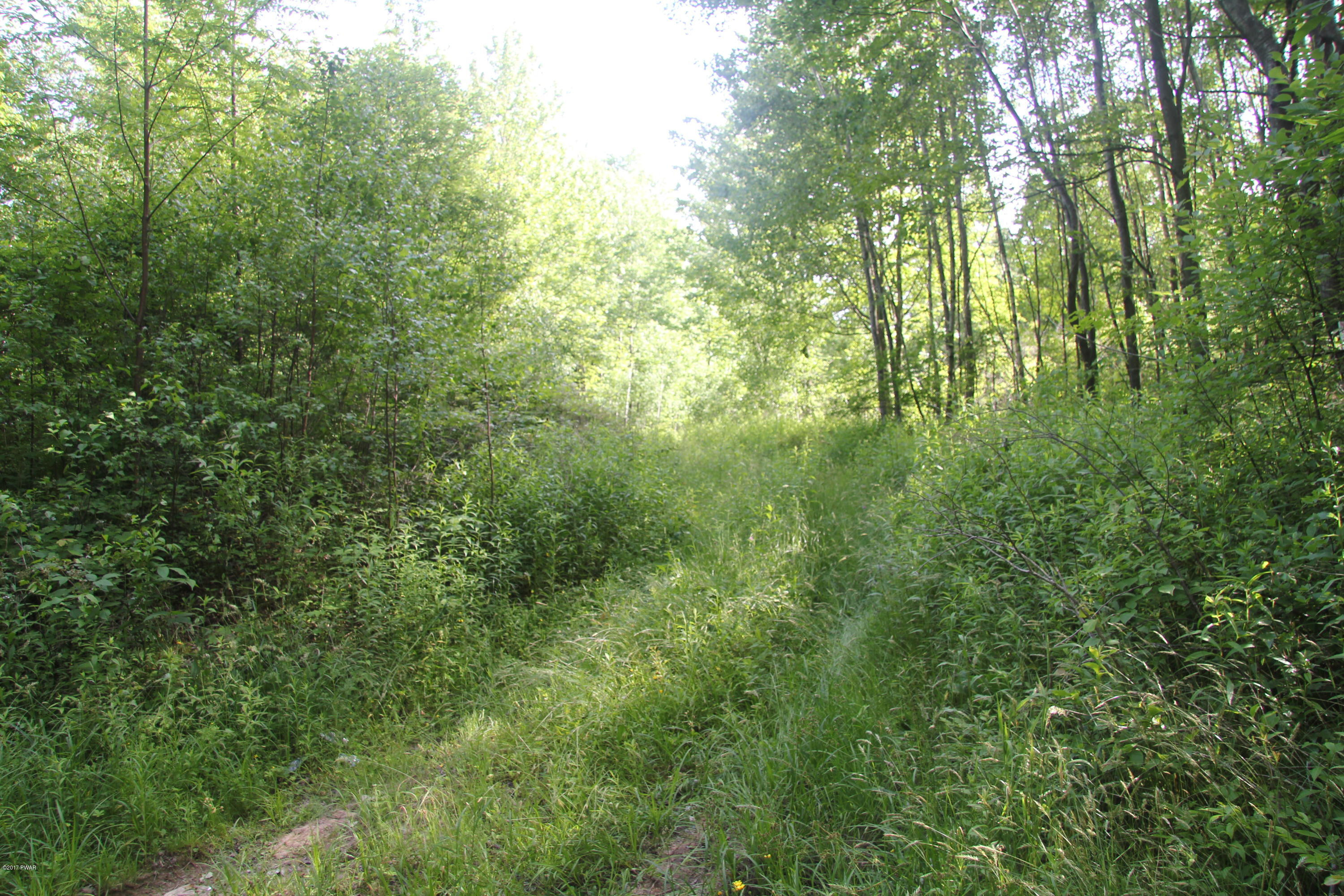 Curtis Pond Road Waymart, PA 18472 - Photo 3 of 7