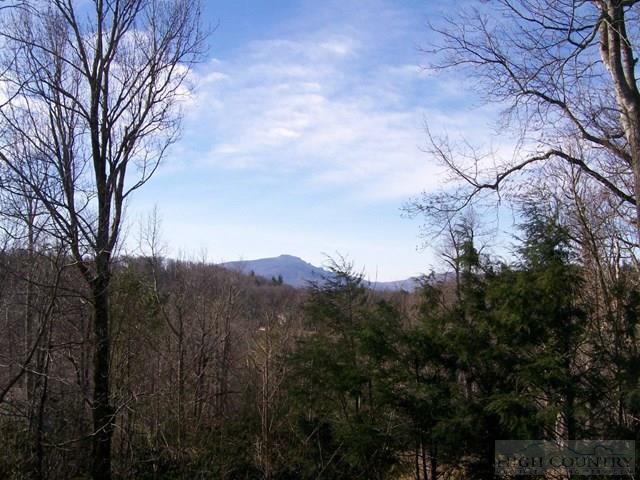 200 Katie Way Boone, NC 28607 - Photo 3 of 41 Gallery Image 3