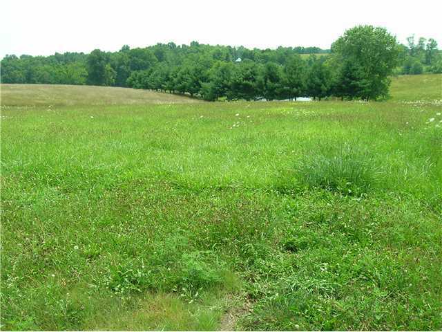 0 Deer Run Mount, Unit LOT 3 Mount Perry, OH 43760 - Photo 1 of 3
