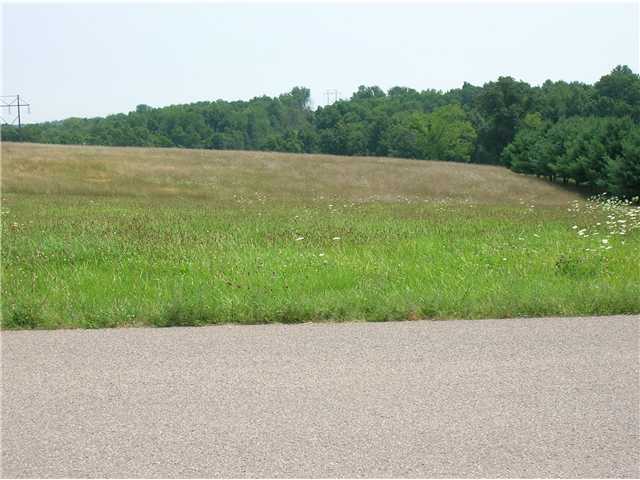 0 Deer Run Mount, Unit LOT 3 Mount Perry, OH 43760 - Photo 3 of 3