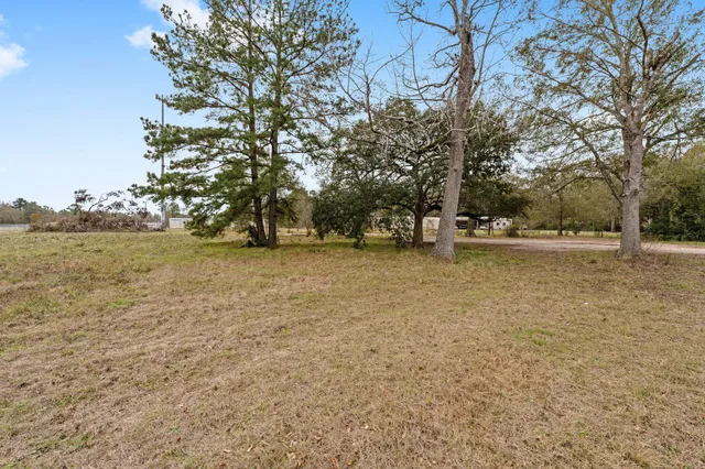 a view of dirt yard with a large tree