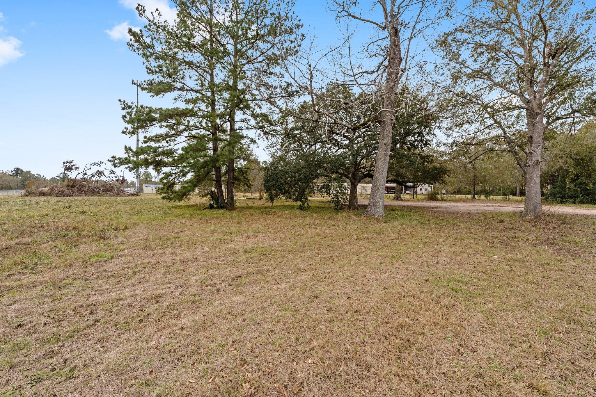 22752 Ford Road Porter, TX 77365 - Photo 5 of 9 a view of outdoor space with trees