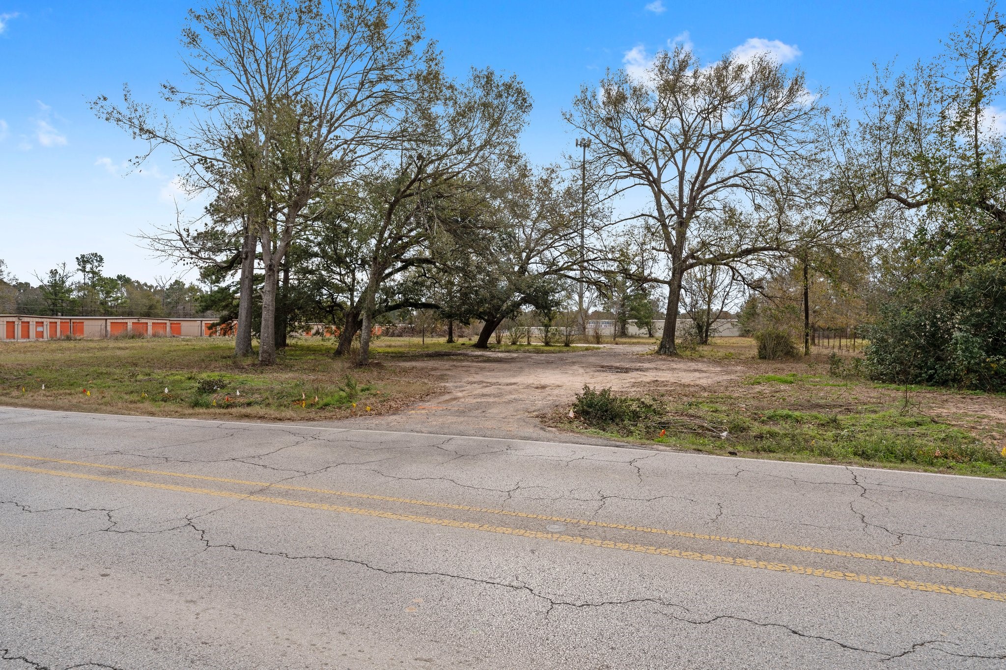 22752 Ford Road Porter, TX 77365 - Photo 8 of 9 a view of dirt yard with a large tree