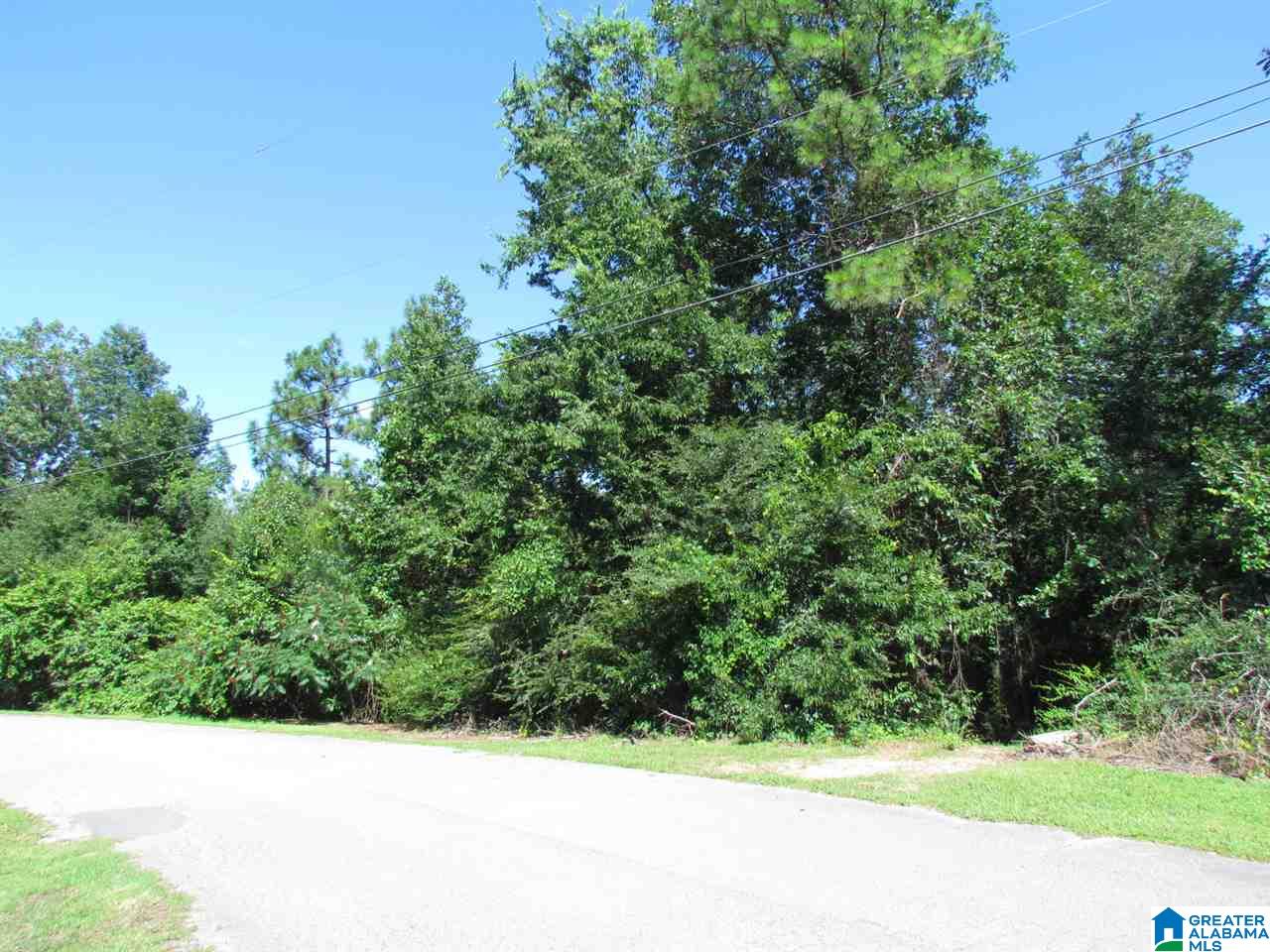 Walnut Drive Moody, AL 35004 - Photo 3 of 3
