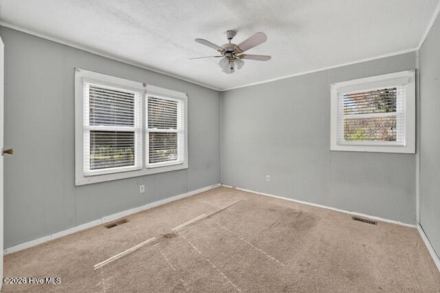 6701 Murrayville Road Wilmington, NC 28411 - Photo 24 of 33 22