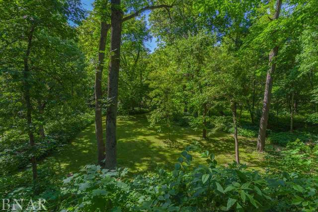 30004 Shiloh Road Minier, IL 61759 - Photo 32 of 45