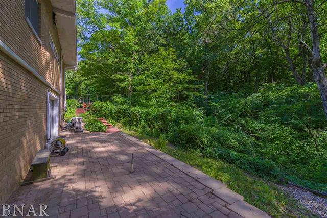 30004 Shiloh Road Minier, IL 61759 - Photo 33 of 45