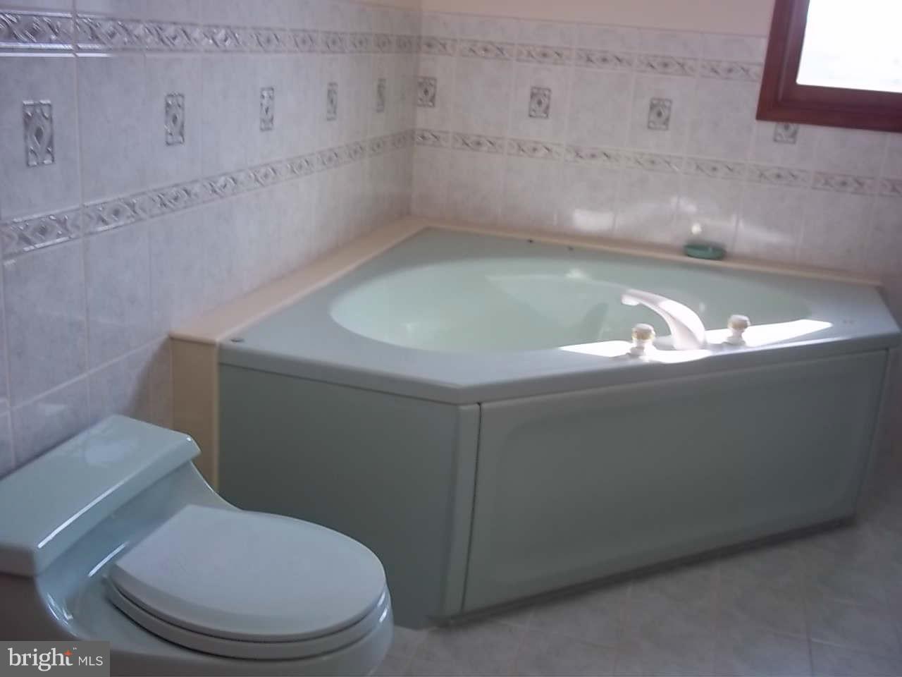 788 Oldfield Point Road Elkton, MD 21921 - Photo 19 of 21 Bath (Master)