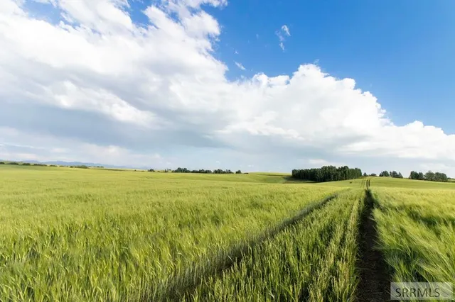 $1,450,000 | 1400 East 1400 North, Ashton, ID 83420