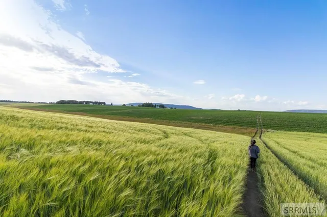 $1,450,000 | 1400 East 1400 North, Ashton, ID 83420