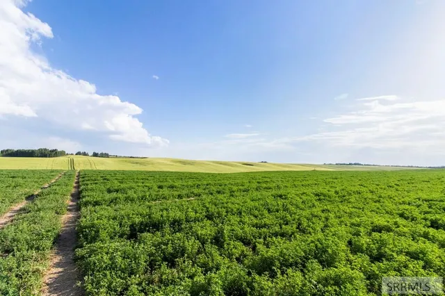 $1,450,000 | 1400 East 1400 North, Ashton, ID 83420