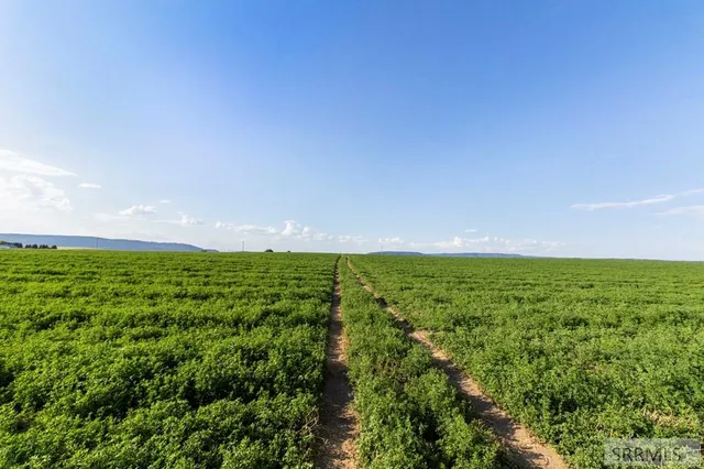 $1,450,000 | 1400 East 1400 North, Ashton, ID 83420