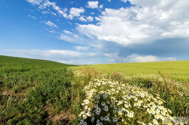 $1,450,000 | 1400 East 1400 North, Ashton, ID 83420