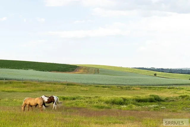 $1,450,000 | 1400 East 1400 North, Ashton, ID 83420