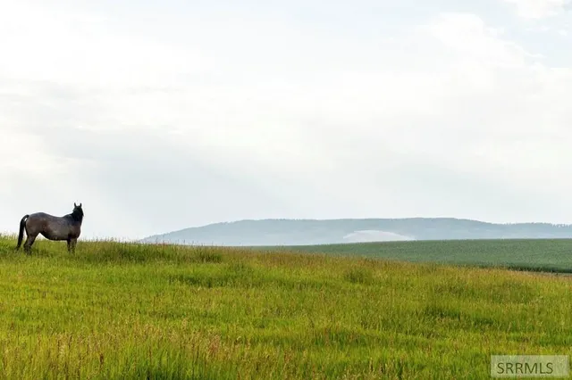 $1,450,000 | 1400 East 1400 North, Ashton, ID 83420