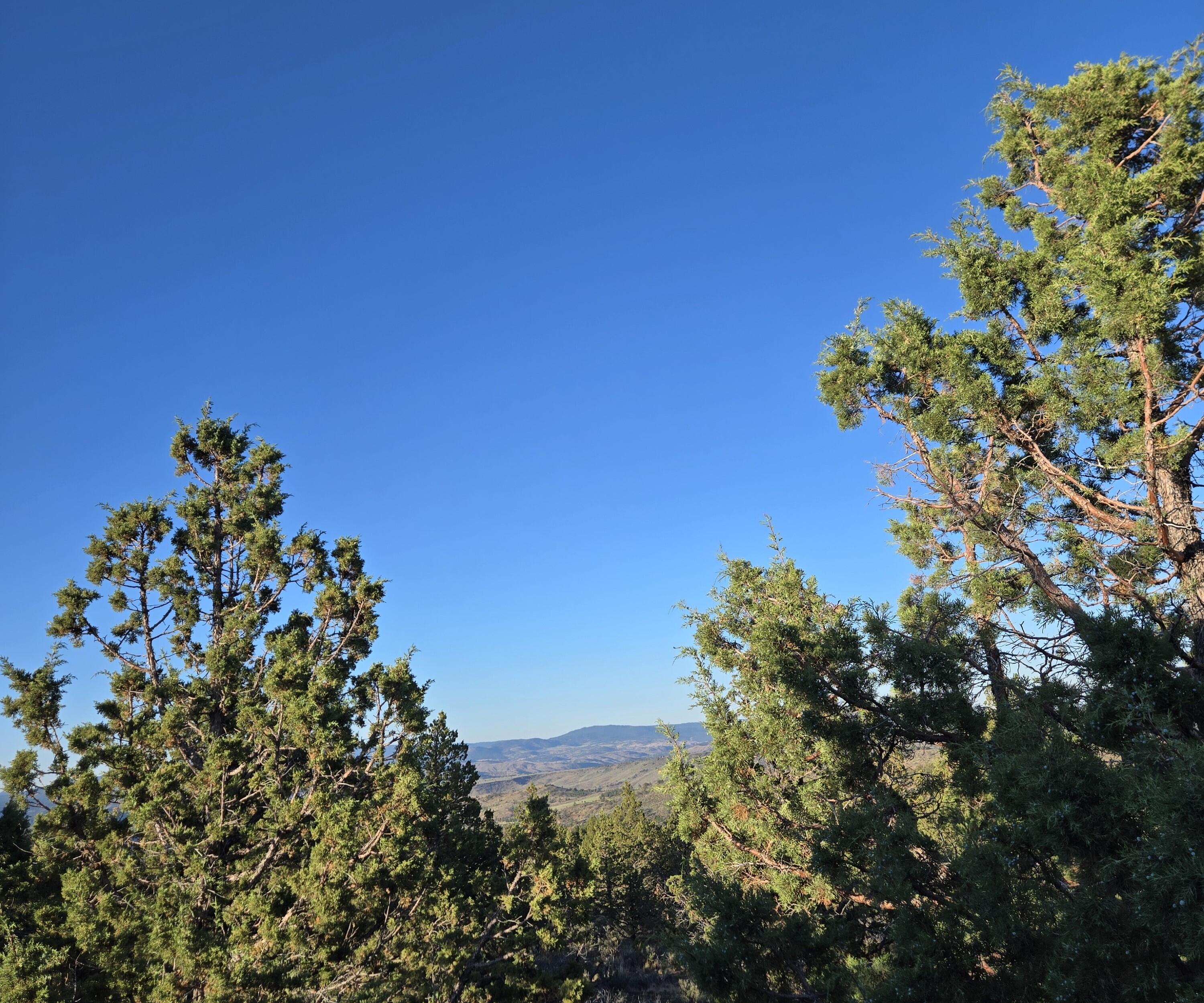 20102 Osprey Road, Unit 800 Prineville, OR 97754 - Photo 4 of 20 20250711_193918