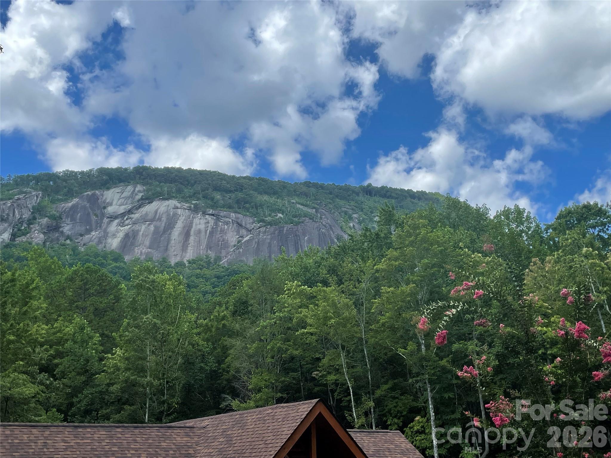 282 Quail Ridge Road Lake Lure, NC 28746 - Photo 1 of 5