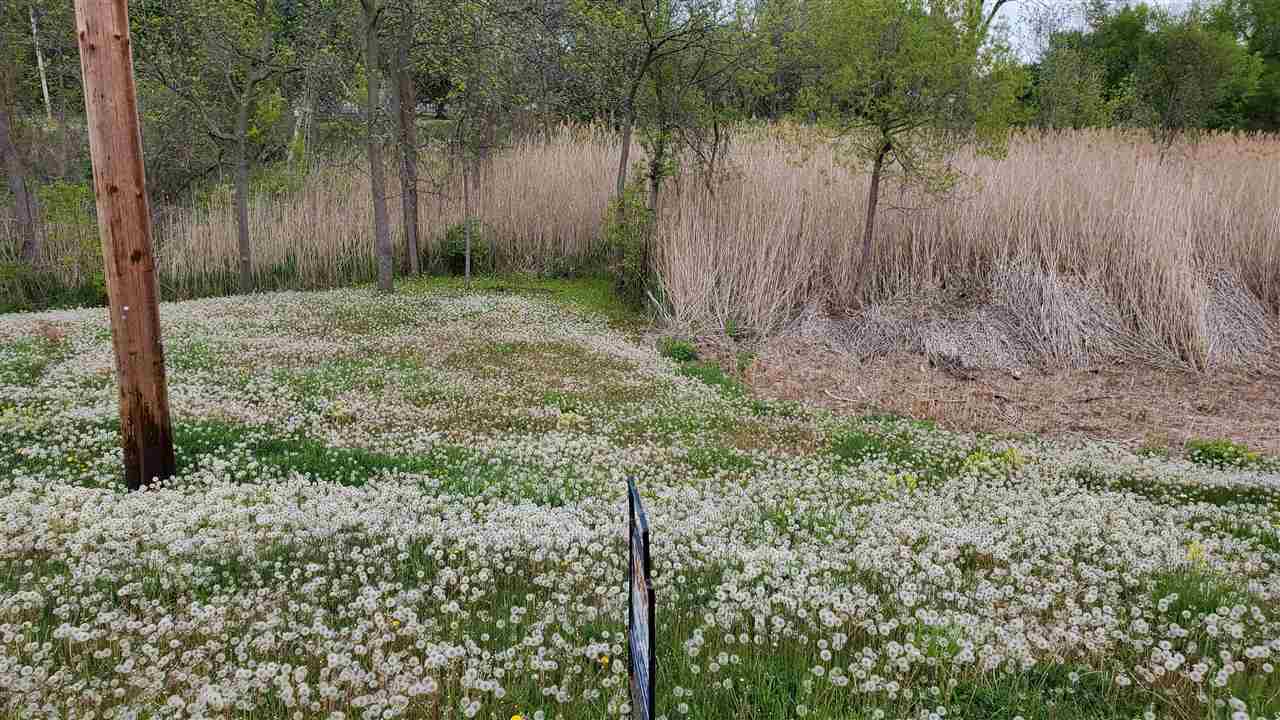 0 West Thompson Road Fenton, MI 48430 - Photo 6 of 6