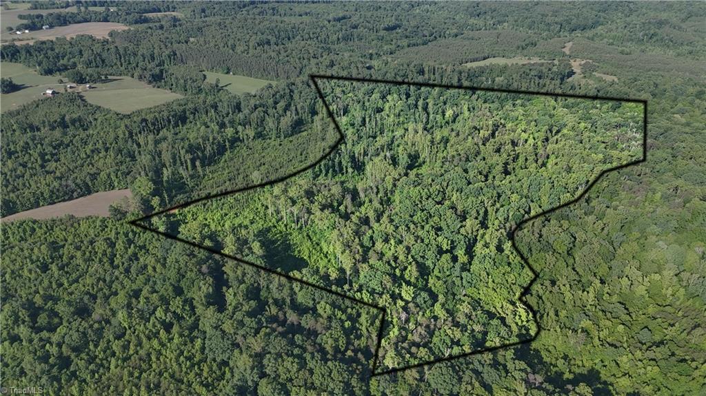 0 Nubbin Ridge Road Reidsville, NC 27320 - Photo 4 of 13