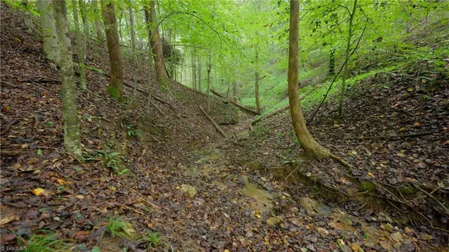 $163,900 | 1582 Seven Island Road, Danbury, NC 27016