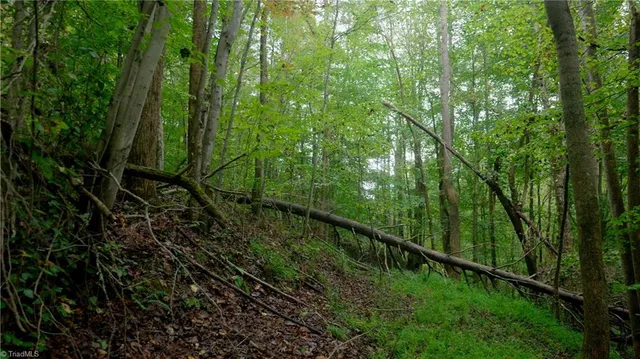 $163,900 | 1582 Seven Island Road, Danbury, NC 27016