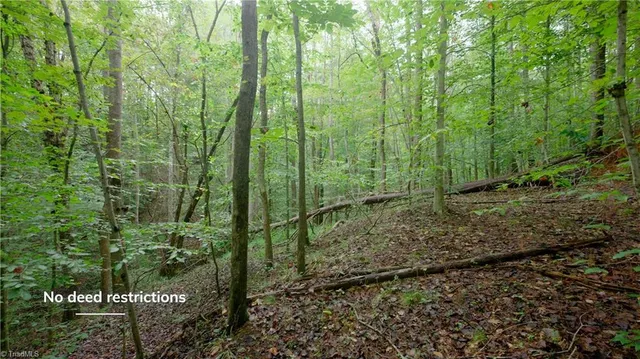 $163,900 | 1582 Seven Island Road, Danbury, NC 27016