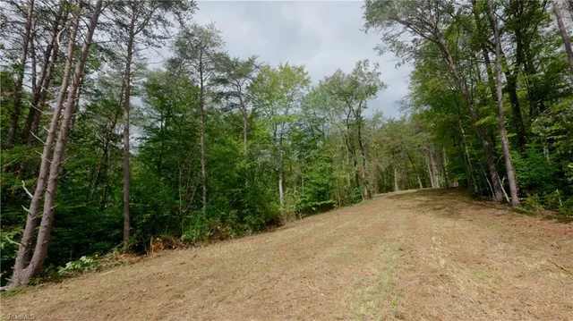 $163,900 | 1582 Seven Island Road, Danbury, NC 27016