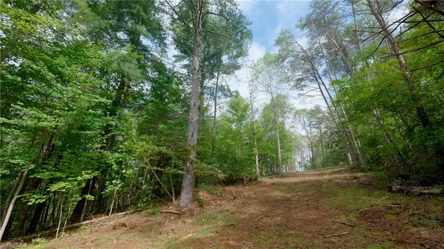 $163,900 | 1582 Seven Island Road, Danbury, NC 27016