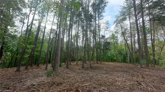 $163,900 | 1582 Seven Island Road, Danbury, NC 27016