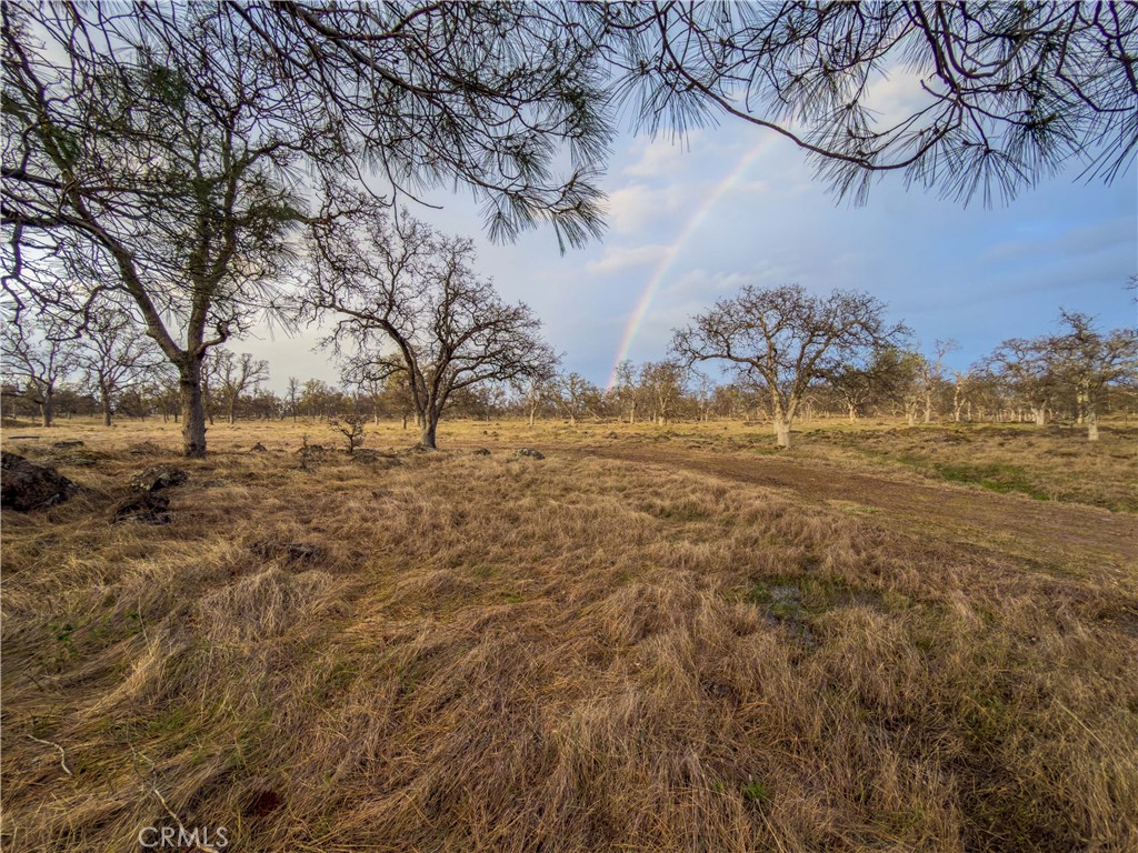 0 Grindstone Chico, CA 95973 - Photo 12 of 16