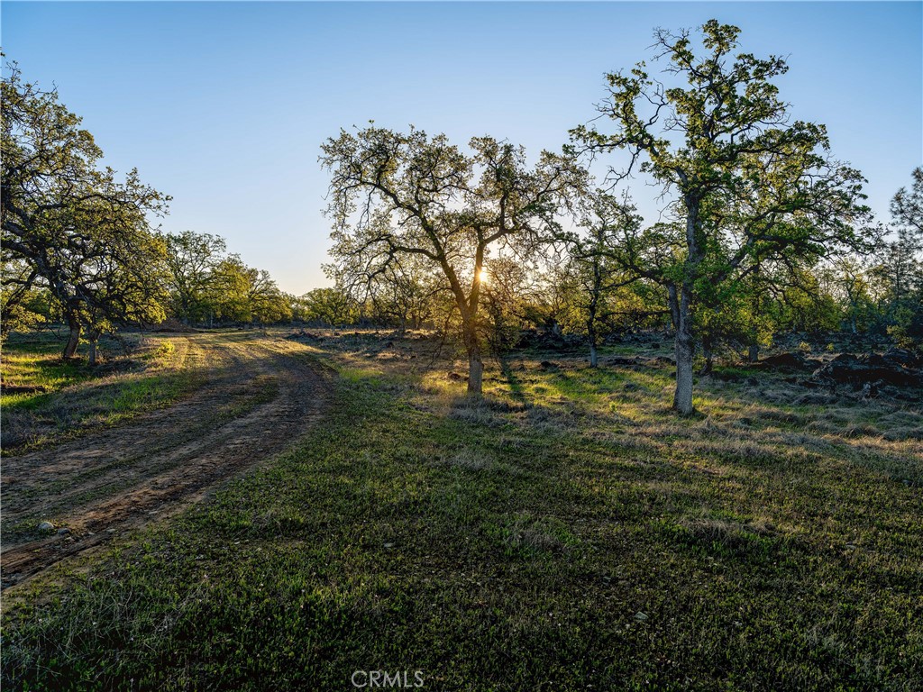 0 Grindstone Chico, CA 95973 - Photo 3 of 16