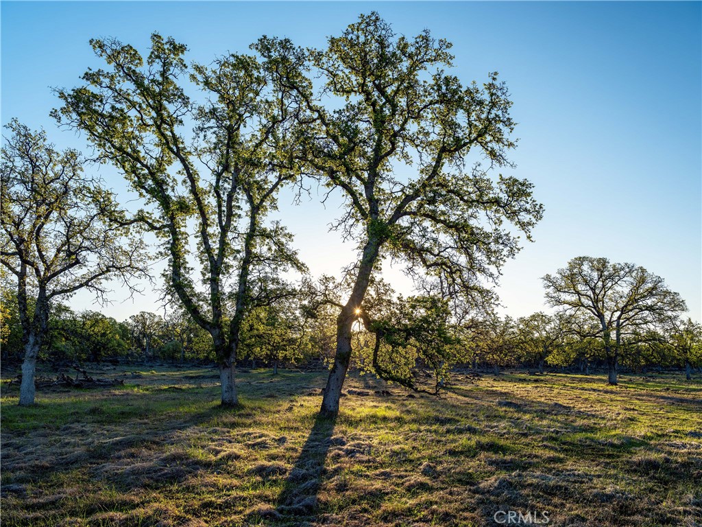 0 Grindstone Chico, CA 95973 - Photo 6 of 16