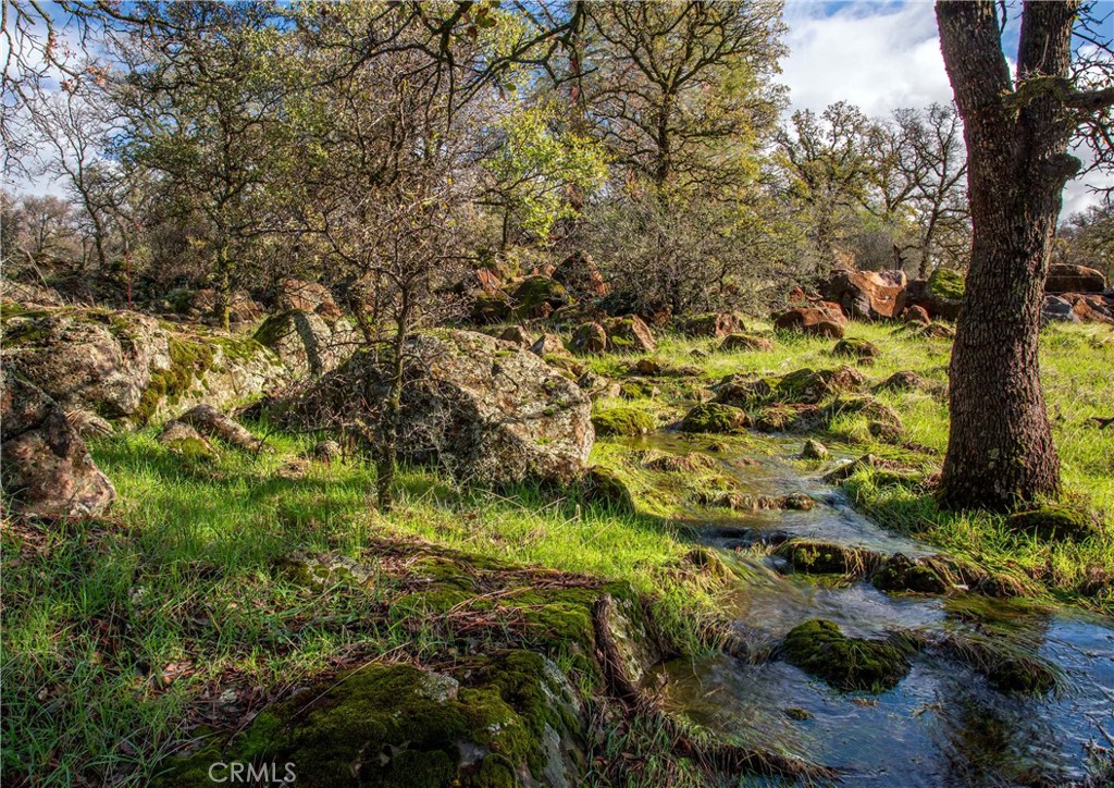 0 Grindstone Chico, CA 95973 - Photo 7 of 16