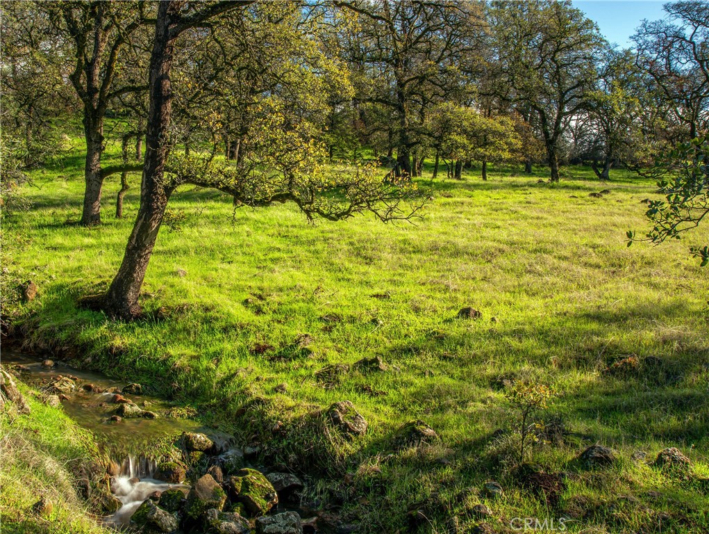 0 Grindstone Chico, CA 95973 - Photo 8 of 16