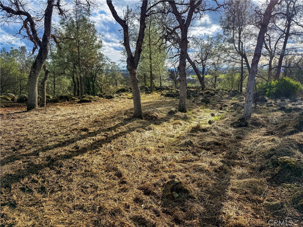 0 Grindstone Chico, CA 95973 - Photo 9 of 16