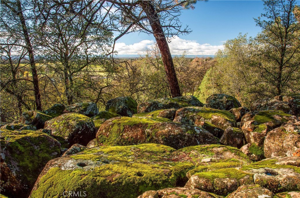 0 Grindstone Chico, CA 95973 - Photo 10 of 16