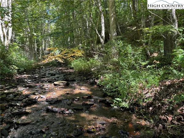 a plant view in yard