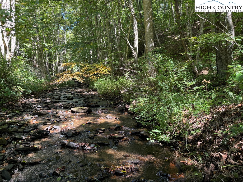 321 Skin Camp Creek Road Todd, NC 28684 - Photo 25 of 29