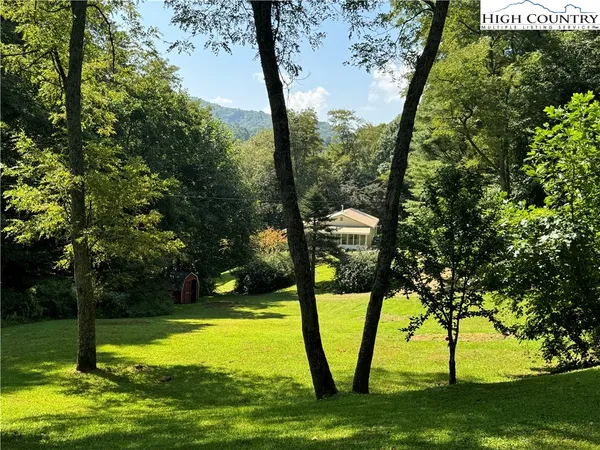 a view of a yard with a tree