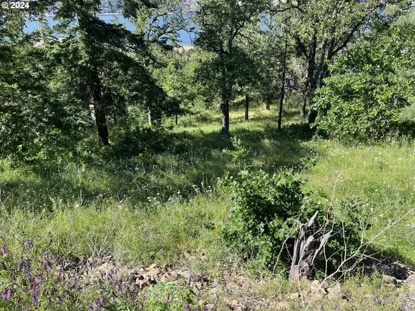 $299,000 | Coyote Court, Unit 45, Mosier, OR 97040