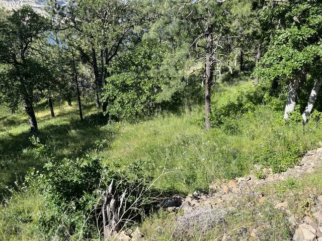 $299,000 | Coyote Court, Unit 45, Mosier, OR 97040