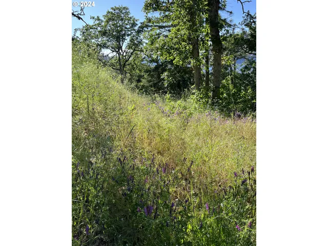 $299,000 | Coyote Court, Unit 45, Mosier, OR 97040