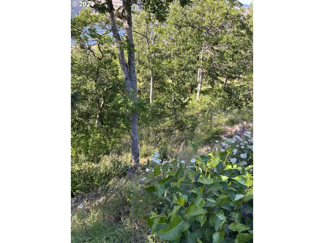 $299,000 | Coyote Court, Unit 45, Mosier, OR 97040