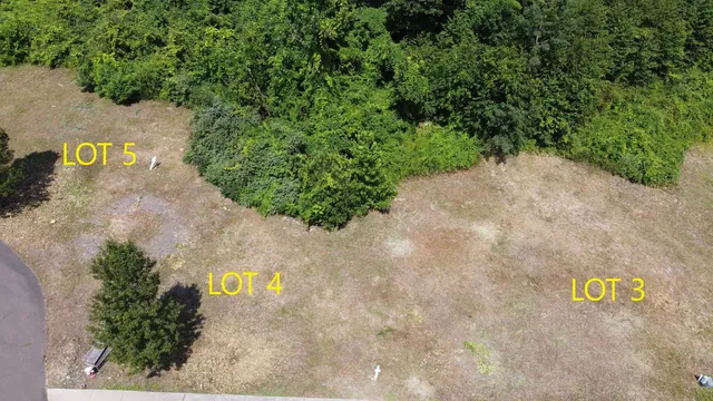 a view of a garden with an outdoor space