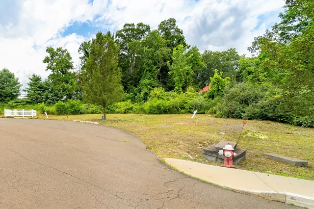 a view of a tree in front of a house